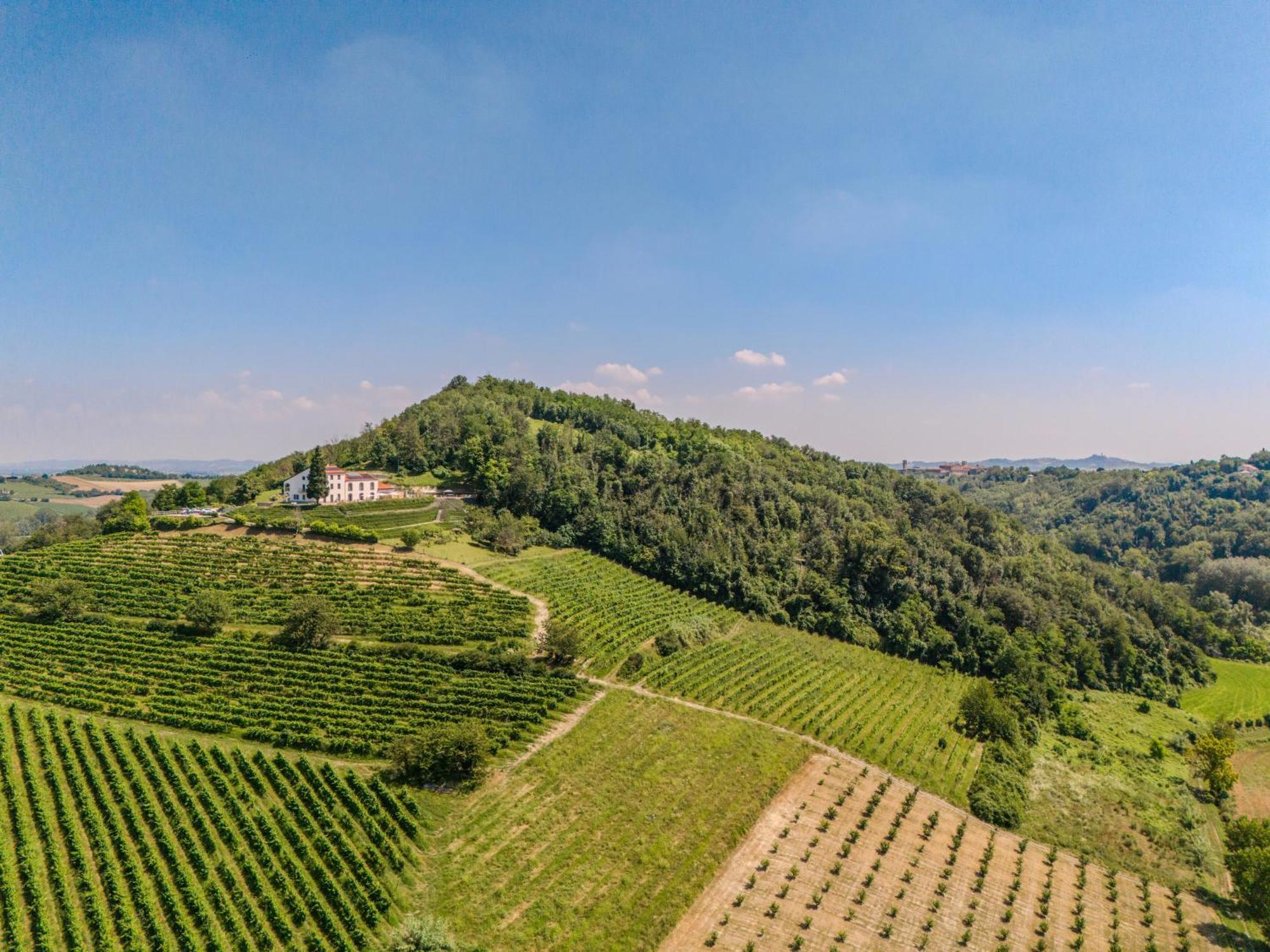 Villa Rocco Country House Ozzano Monferrato Екстериор снимка